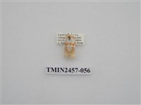 藏品(二斑叉紋苔蛾)的圖片